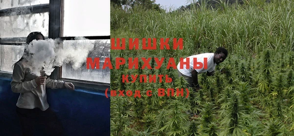 индика Пересвет