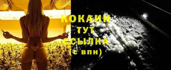 прущие грибы Богородицк