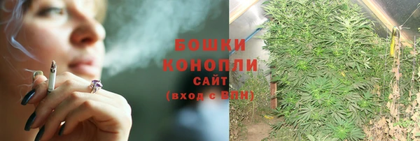 марки lsd Белокуриха