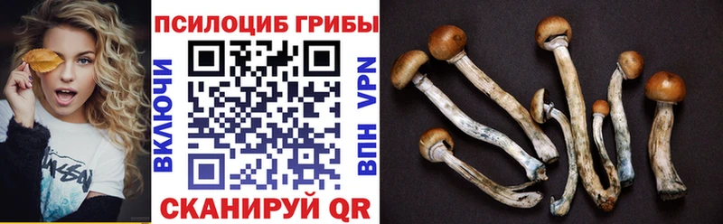 KRAKEN онион  Велиж  Галлюциногенные грибы прущие грибы 