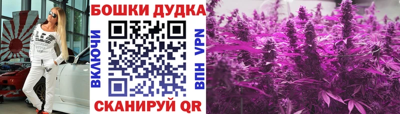 Конопля сатива  Велиж 